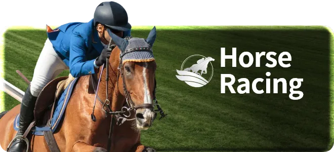 Horse Racing 赛马